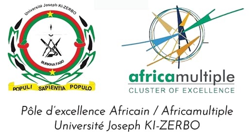 Africa Multiple Research Center / UJKZ